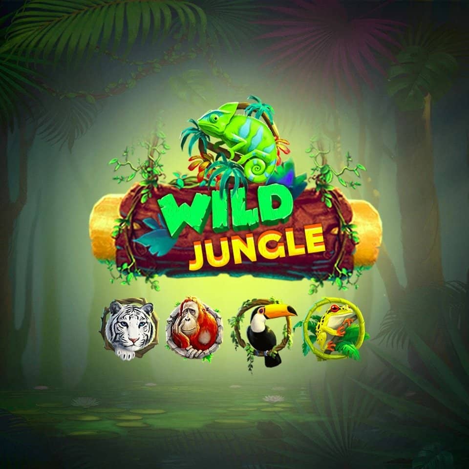O jogo do